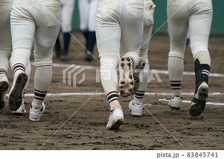 野球の試合が開始されダッシュしてホームベース前に整列する野球選手たち 83845741