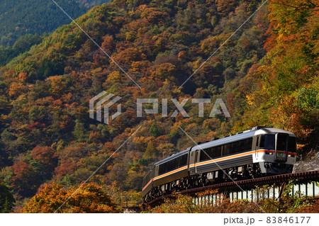 紅葉する高山本線を走る特急『ワイドビューひだ』 紅葉する高山本線を走る特急『ワイドビューひだ』 83846177