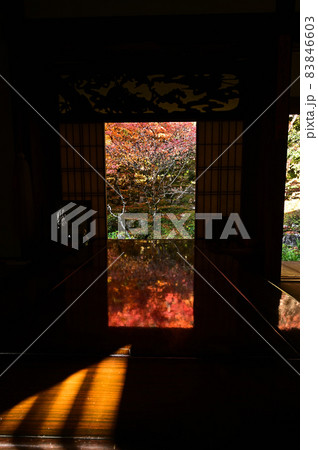 慧日寺の紅葉 83846603