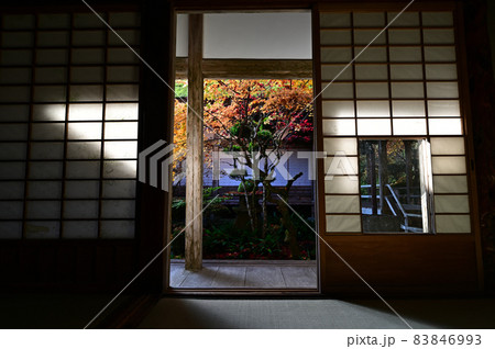 慧日寺の紅葉 慧日寺の紅葉 83846993