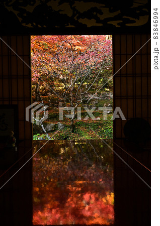 慧日寺の紅葉 慧日寺の紅葉 83846994