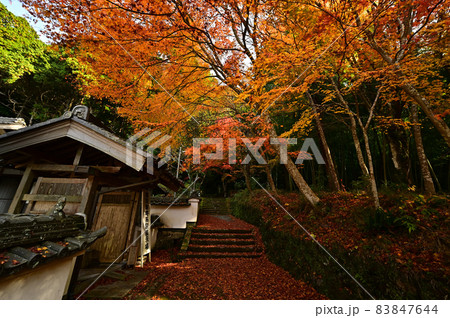 荘厳寺の紅葉 83847644