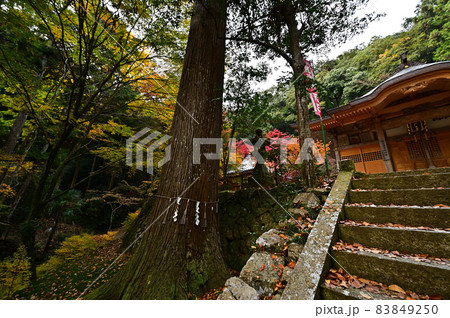 石龕寺の紅葉 石龕寺の紅葉 83849250