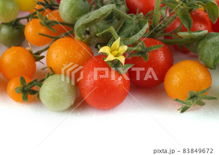 Red and yellow cherry tomatoes Red and yellow cherry tomatoes 83849672
