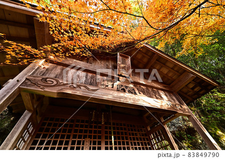 石龕寺の紅葉 石龕寺の紅葉 83849790