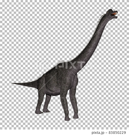 Brachiosaurus ☆ Brachiosaurus Brachiosaurus ☆ Brachiosaurus 83850229