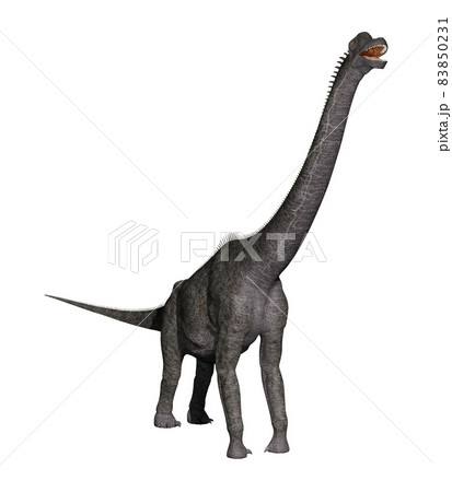 ブラキオサウルス☆Brachiosaurus ブラキオサウルス☆Brachiosaurus 83850231