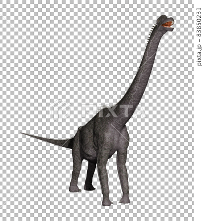 ブラキオサウルス☆Brachiosaurus ブラキオサウルス☆Brachiosaurus 83850231