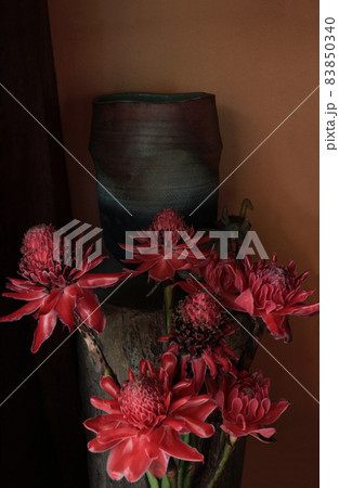 トーチジンジャーのフラワーアレンジメント トーチジンジャーのフラワーアレンジメント 83850340