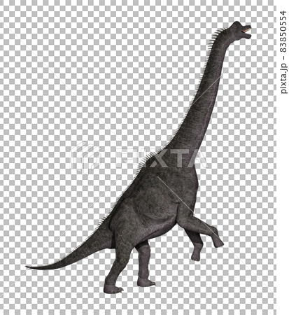 Brachiosaurus ☆ Brachiosaurus Brachiosaurus ☆ Brachiosaurus 83850554