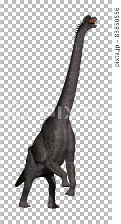 ブラキオサウルス☆Brachiosaurus ブラキオサウルス☆Brachiosaurus 83850556
