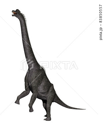 ブラキオサウルス☆Brachiosaurus 83850557