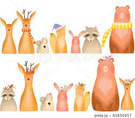 北欧風オシャレな森の動物の真正面の白バックベクターフレームのイラスト 北欧風オシャレな森の動物の真正面の白バックベクターフレームのイラスト 83850957