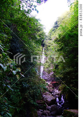 神奈川　山北町　洒水の滝 83851300