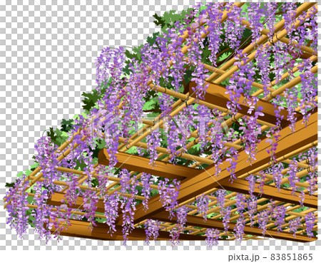 Botanical picture book Fujitana Botanical picture book Fujitana 83851865