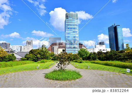 都心の公園から眺める高層ビル 都心の公園から眺める高層ビル 83852264