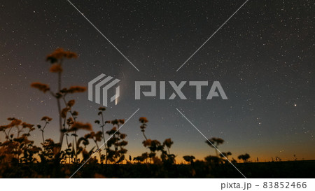 Belarus. 18 July 2020. Comet Neowise C 2020 F3 In Night Starry Sky Above Flowering Buckwheat Agricultural Field. Night Stars In July Month. Comet At A Distance Of 104 Million Kilometres. 4K Timelapse. 83852466