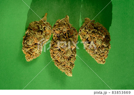 Close up of cannabis buds, macro view. Medicinal marijuana blooms with trichomes on emerald green paper background 83853669
