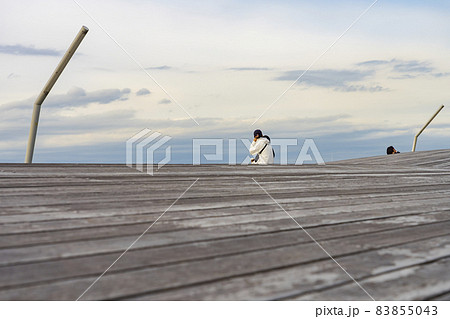 【都市風景】横浜港大さん橋 国際客船ターミナル 83855043