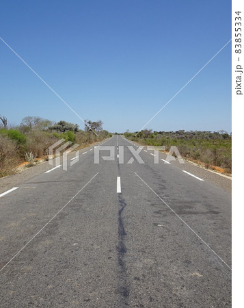 【マダガスカル】郊外のコンクリートの一本道 83855334