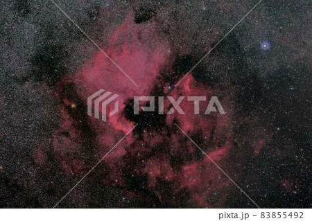 北アメリカ星雲、ペリカン星雲 北アメリカ星雲、ペリカン星雲 83855492