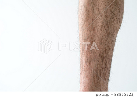すね毛・若い男性 83855522