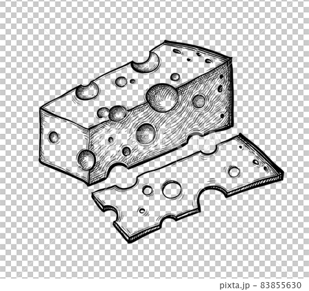 Ink sketch of swiss cheese Ink sketch of swiss cheese 83855630