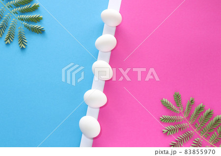 White chicken eggs with leaves on blue and pink background. Easter concept. White chicken eggs with leaves on blue and pink background. Easter concept. 83855970