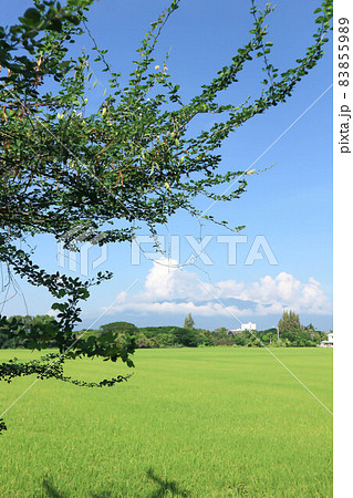 sky ,cloud and tree or field and mountain 83855989