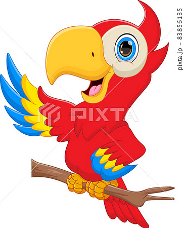 cute parrot cartoon on white background - Stock Illustration [83856135] -  PIXTA