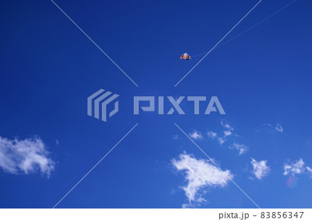 青空の下の凧上げ 青空の下の凧上げ 83856347
