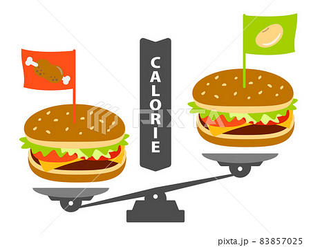 低カロリーの代替肉・ソイバーガーとファストフード比較 低カロリーの代替肉・ソイバーガーとファストフード比較 83857025