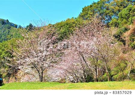 道の駅 紀州備長炭記念公園・春の風景 道の駅 紀州備長炭記念公園・春の風景 83857029