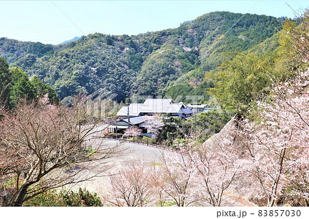 道の駅　紀州備長炭記念公園・春の風景 83857030