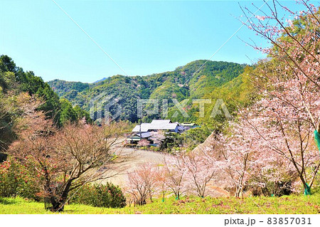 道の駅　紀州備長炭記念公園・春の風景 83857031