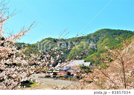 道の駅　紀州備長炭記念公園・春の風景 83857034