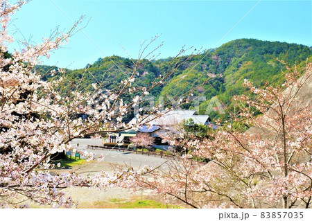 道の駅　紀州備長炭記念公園・春の風景 83857035