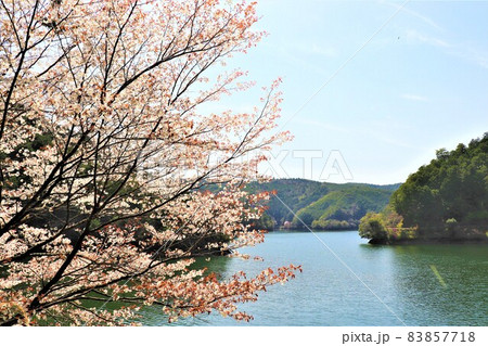 津風呂湖春の風景 83857718