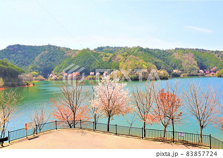 津風呂湖春の風景 83857724