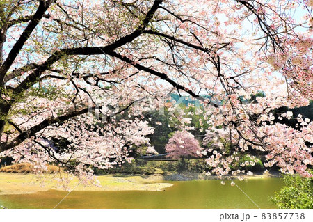 津風呂湖春の風景 83857738