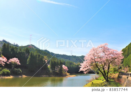 津風呂湖春の風景 83857744