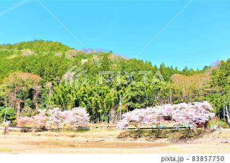 津風呂湖春の風景 83857750