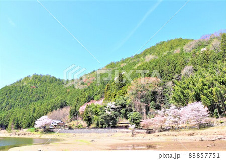 津風呂湖春の風景 83857751