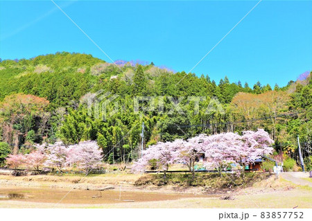 津風呂湖春の風景 83857752