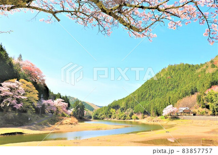 津風呂湖春の風景 津風呂湖春の風景 83857757