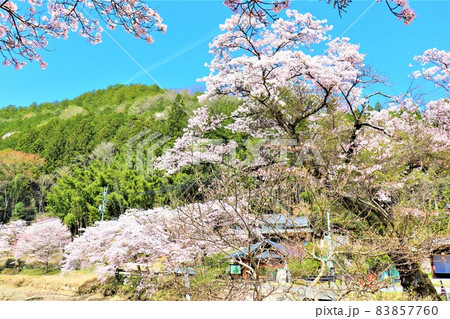 津風呂湖春の風景 83857760