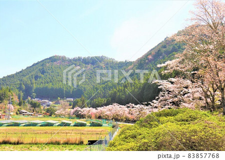 津風呂湖春の風景 83857768