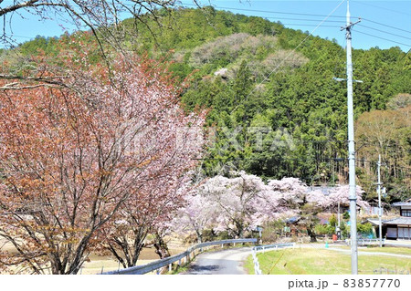 津風呂湖春の風景 83857770
