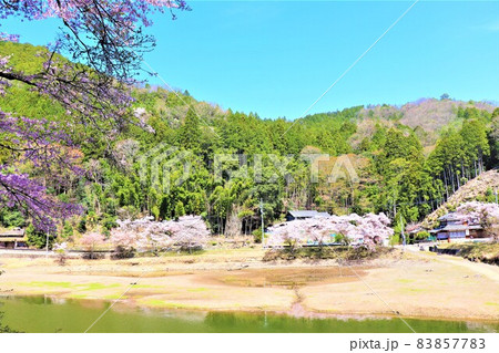 津風呂湖春の風景 83857783