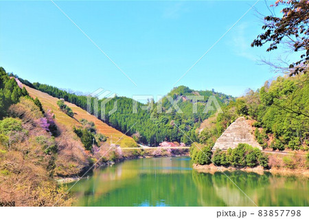 津風呂湖春の風景 83857798